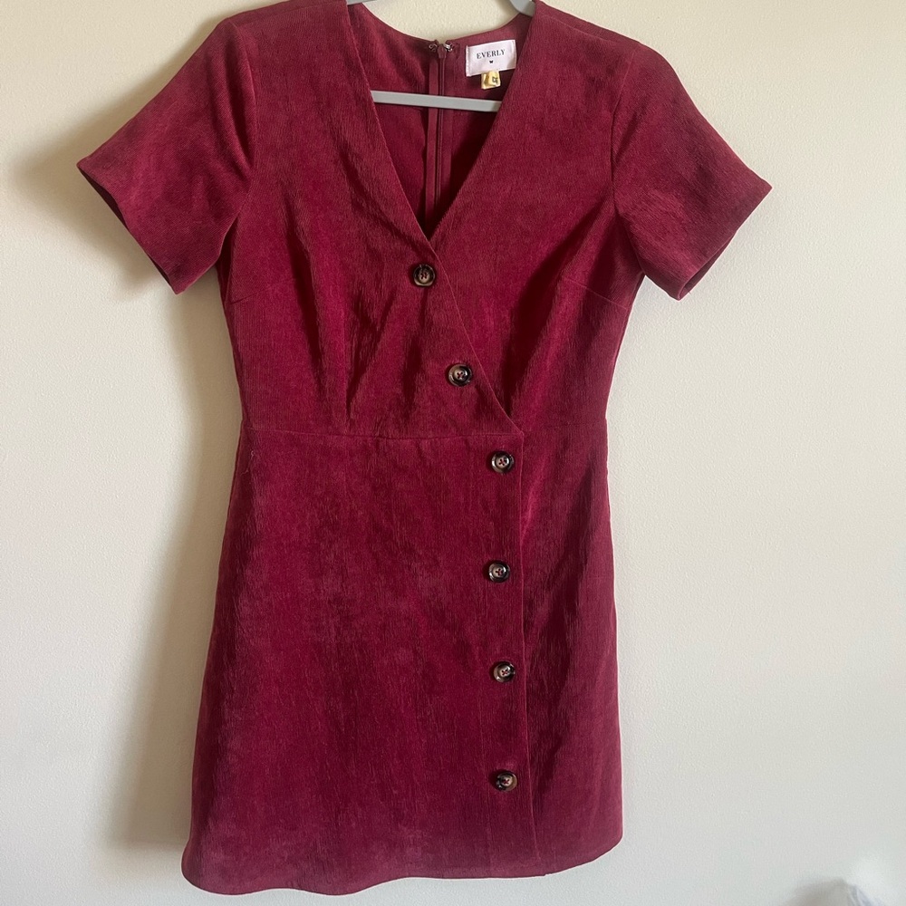 Everly Suede Button Down Dress